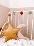 Velvet Star Cushion